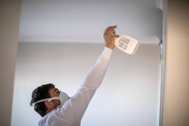 Best Local Mold Removal Service  in Bell Gardens, CA