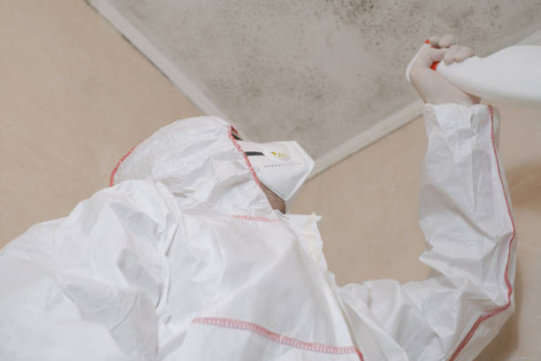 Best Mold Damage Repair  in Bell Gardens, CA
