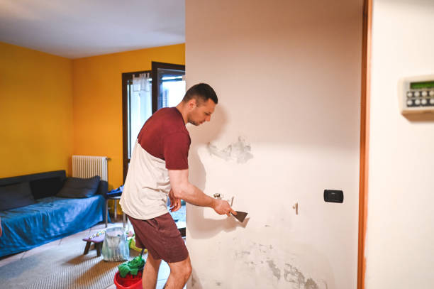 Professional Mold Removal in Bell Gardens, CA