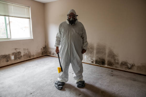 Best Office Mold Removal Services  in Bell Gardens, CA